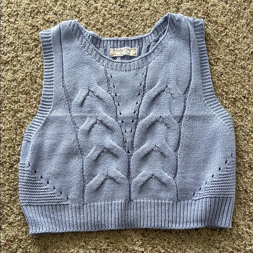 Brandy Melville Purple Ribbed Crop Tank Top